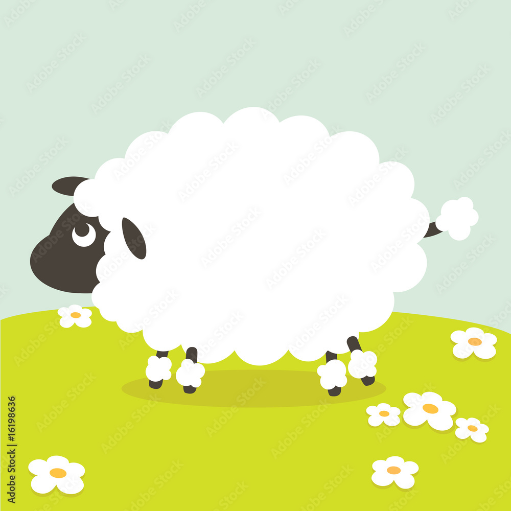 Obraz premium Sheep