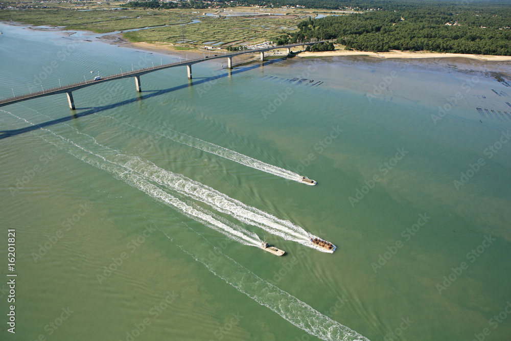 Pont estuaire de la seudre, Charente Maritime (17)