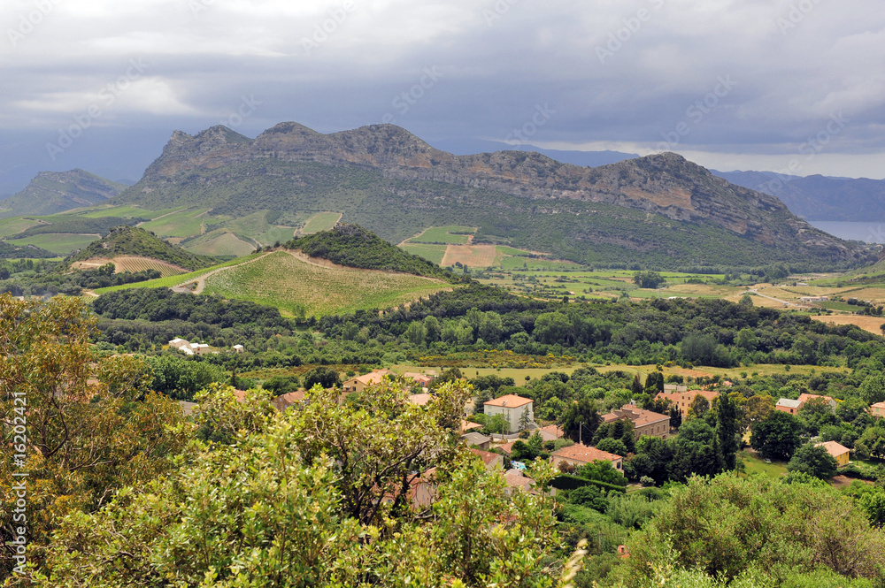 Fototapeta premium landschaft