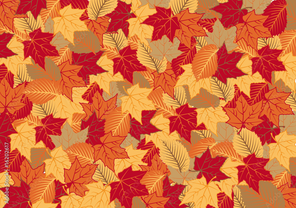 Background of the autumnal leaves Background of the autumnal leaves