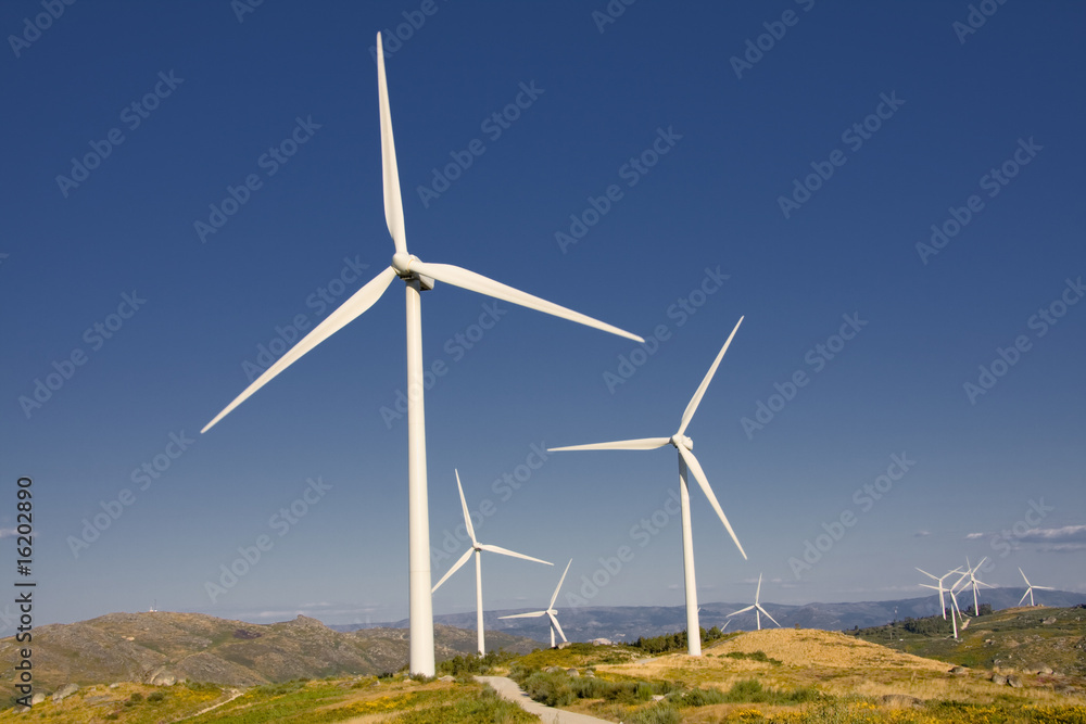 white wind turbines in the top of the mountain white wind turbines in the top of the mountain