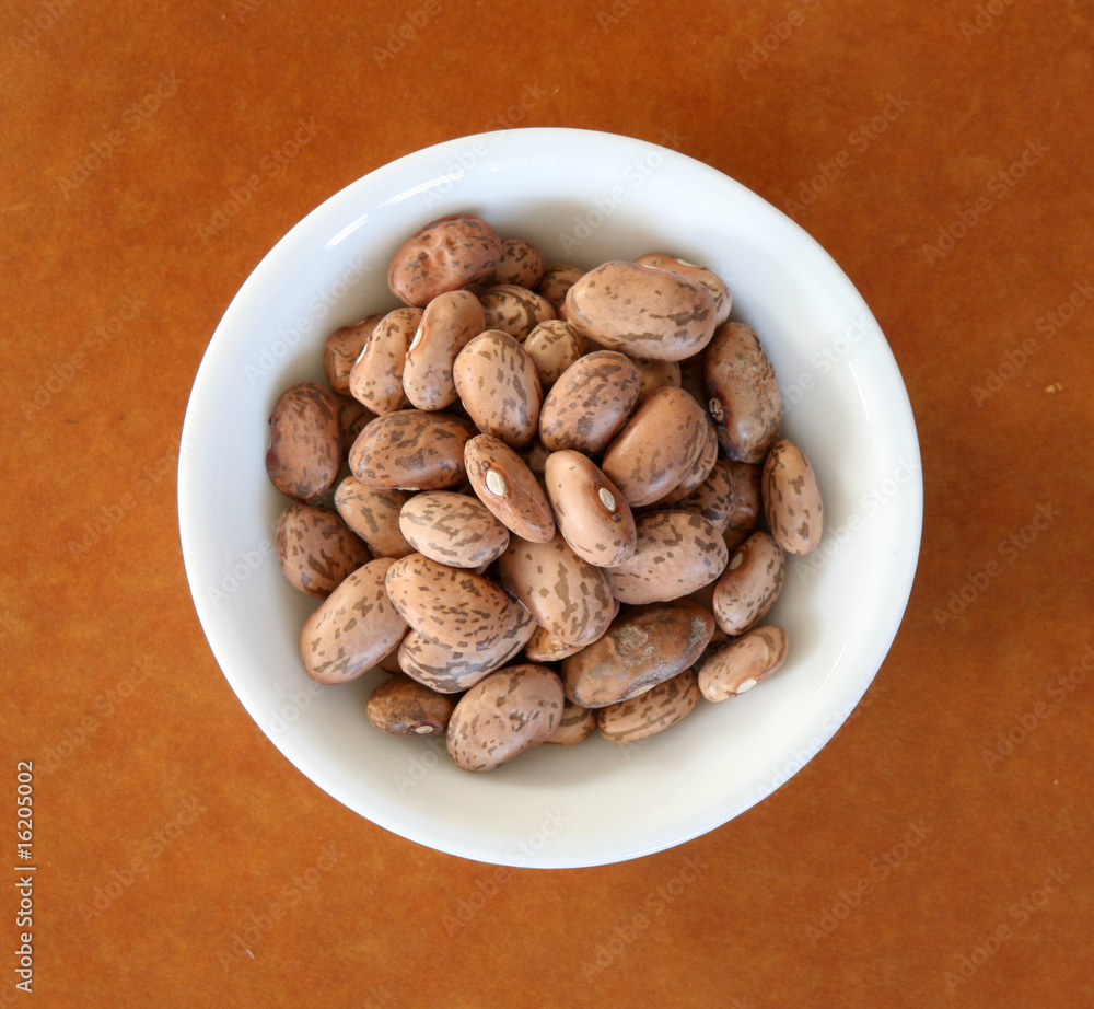 Pinto Beans Pinto Beans
