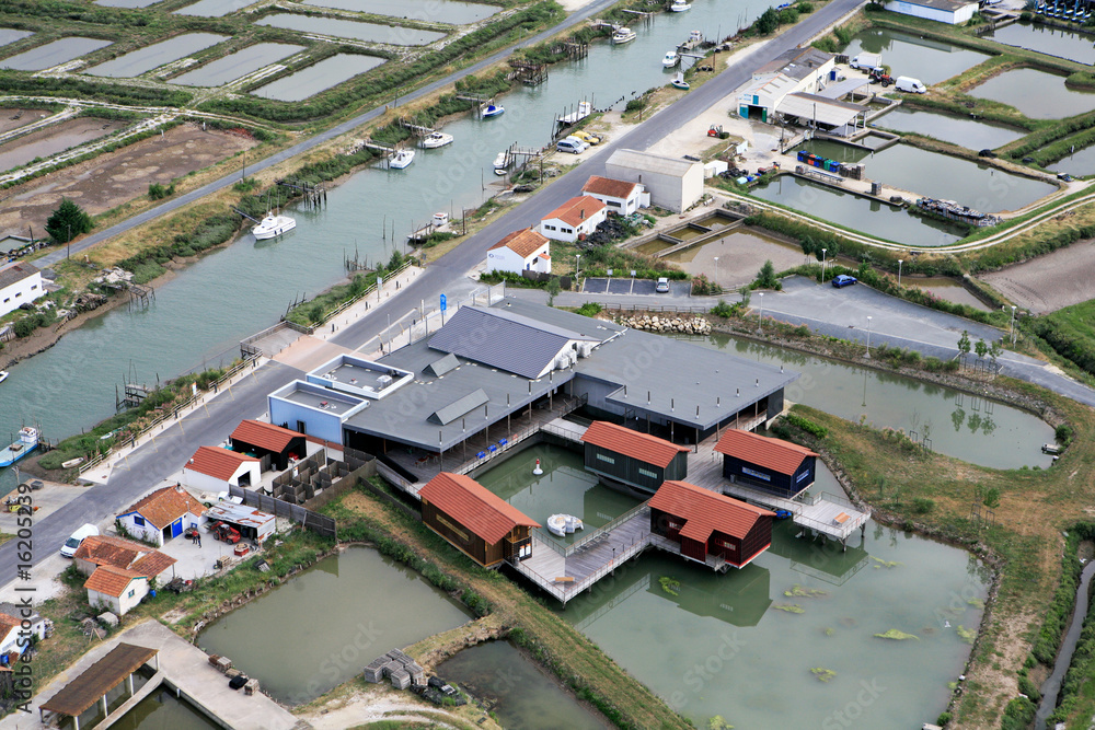 Port Ostréicole de Marennes d'oléron ( 7320)