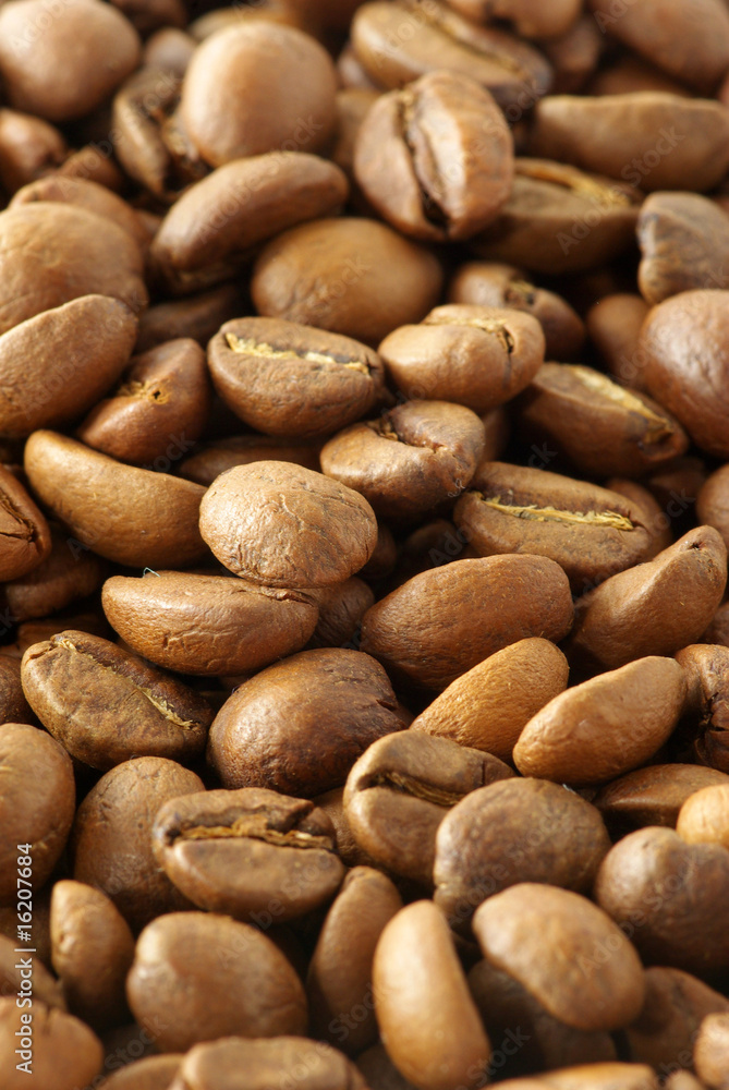 coffee beans coffee beans