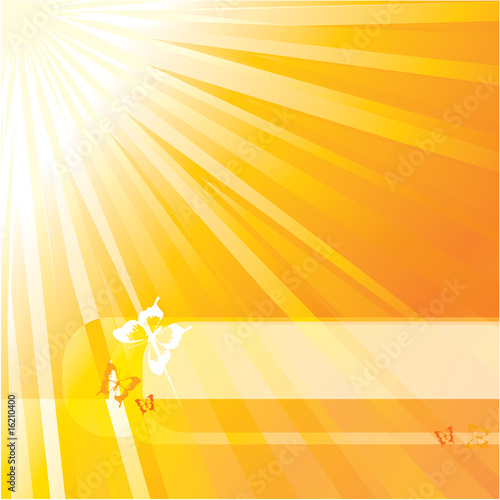 Sun vector design template