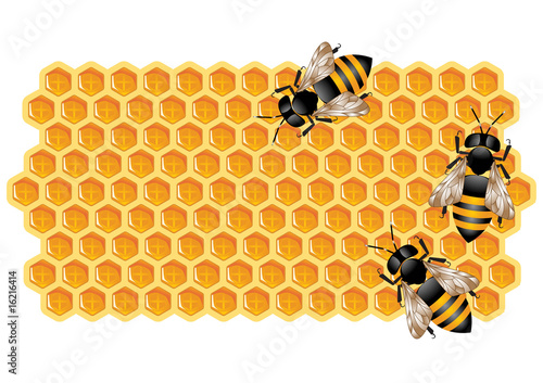 Working Bees on Honeycomb