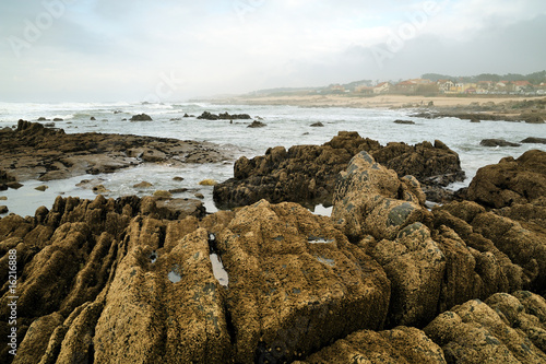 rocky beach photo