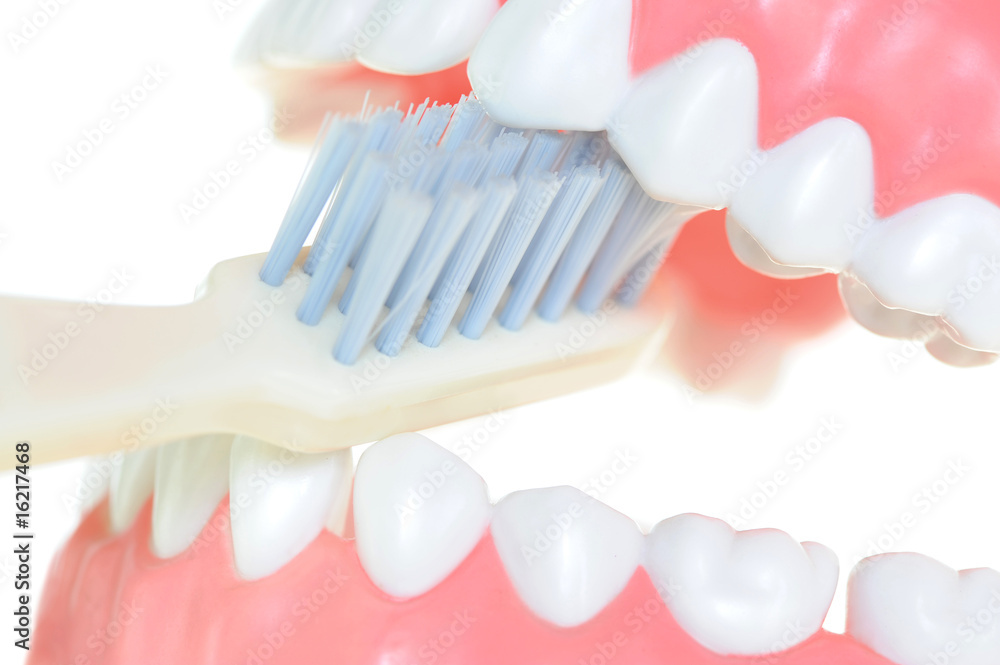 Obraz premium Gebiss 7