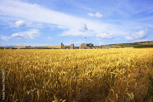 a potash mine with wheat fields