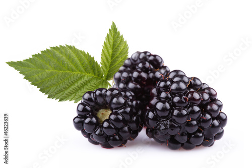 The blackberry