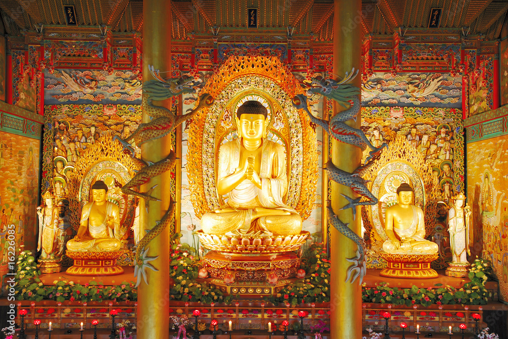 Majestic golden buddha statues