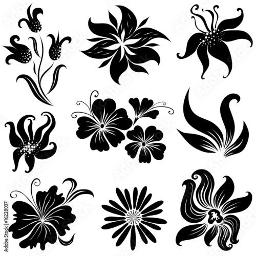Set of black flower design elements