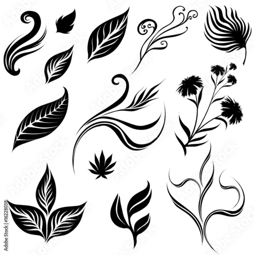 Set of leafs and plants design elements