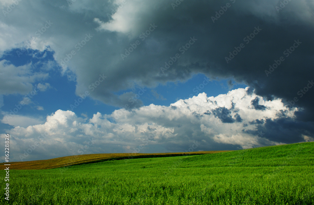 Beautiful Clouds over green fields