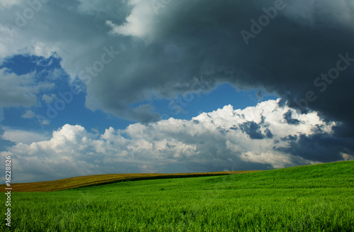 Beautiful Clouds over green fields © Rajmund Barnas