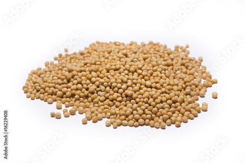 Mustard seeds in a serie of global spices
