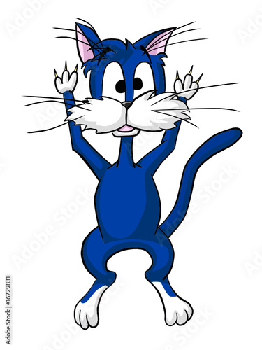 cat with the lifted paws