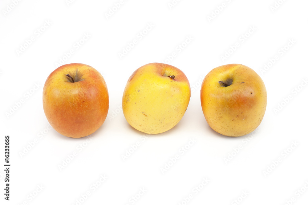 pommes pommes