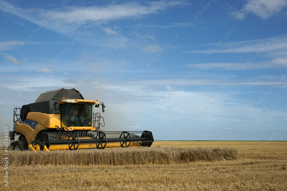 Fototapeta premium materiel agricole 29