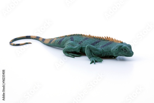 Rubber Lizard Isolated