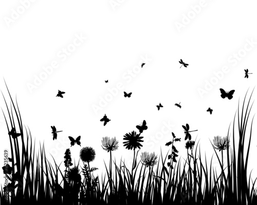 meadow background