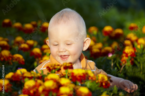 Baby Portrait in Blumenwiese