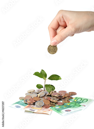 Plant hand and money.