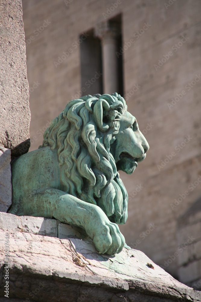 Statue de lion, profil