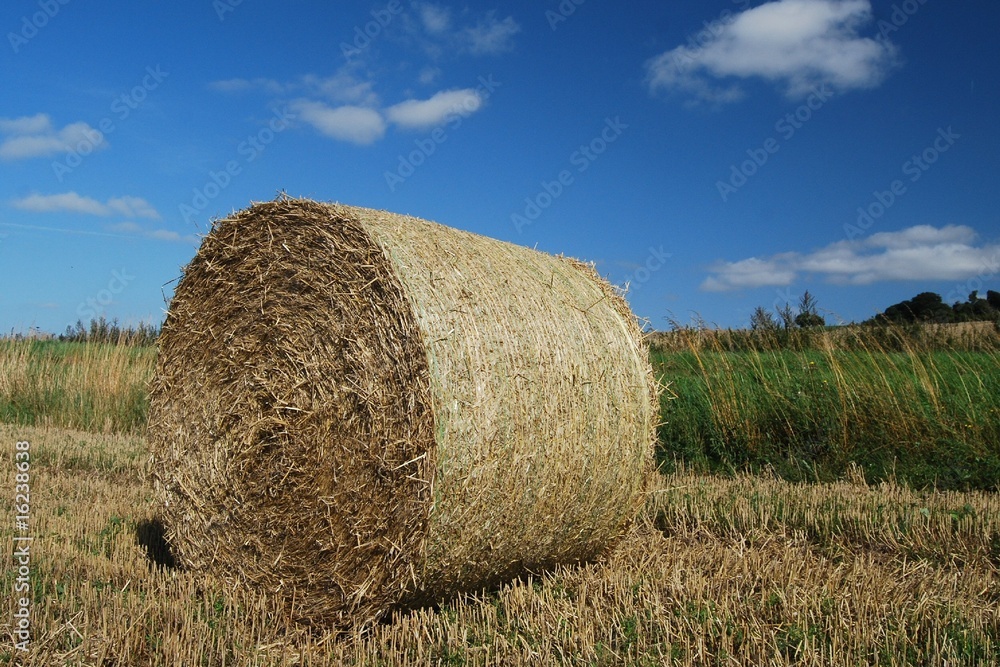 Bale of straw in a farm field in England