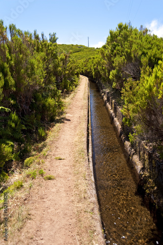 madeira