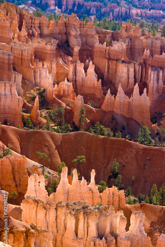 Bryce Canyon. Vertical Image