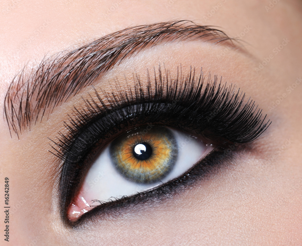 Female eye with black long eyelashes Female eye with black long eyelashes