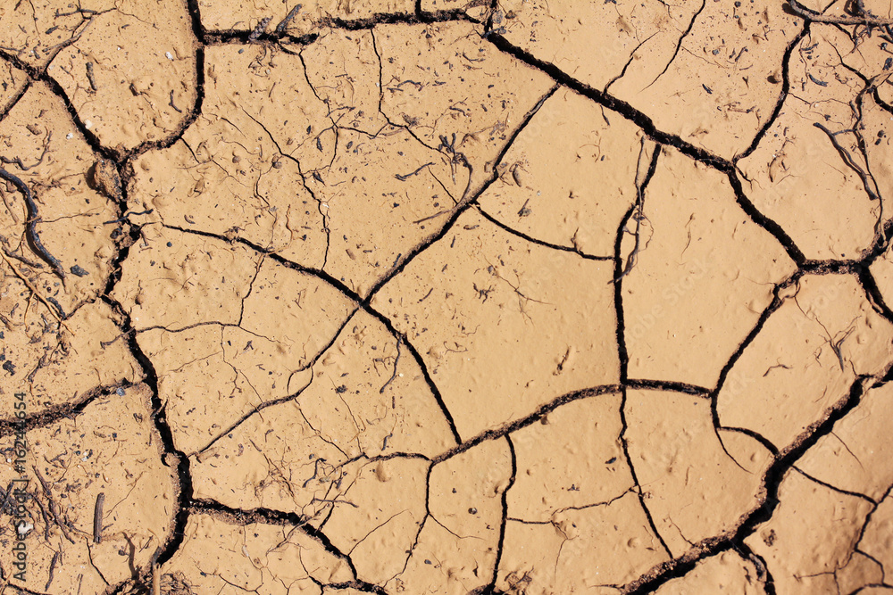 parhed soil parhed soil