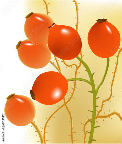 Rose hips.