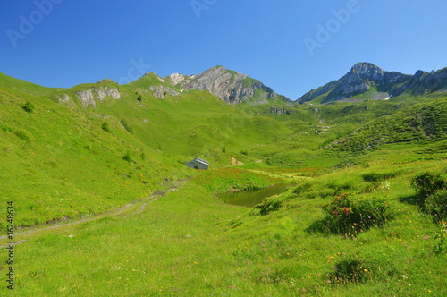 Mountain alp with tarn and stable building