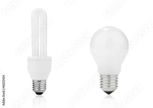 Light bulb and electrical fluorescent energy saving lamp
