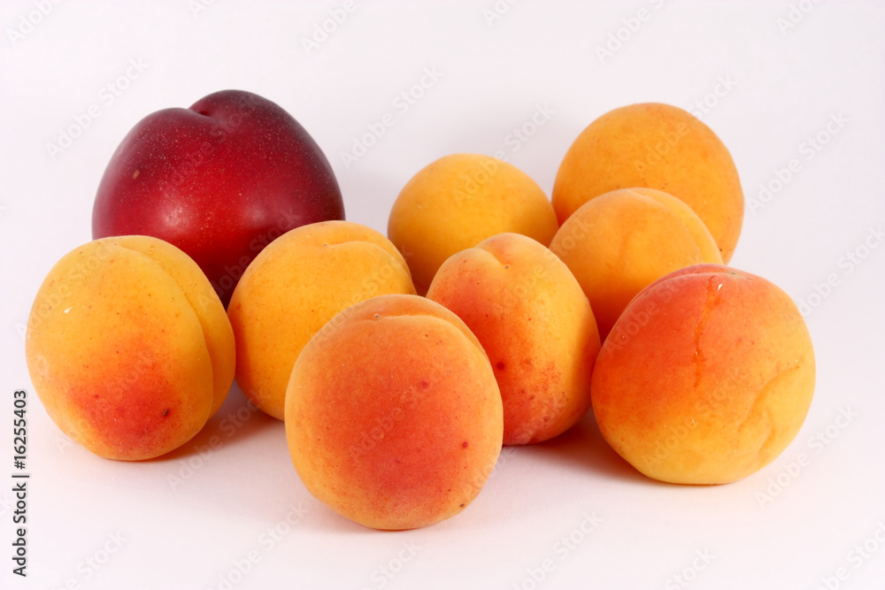 Apricots and nectarine Apricots and nectarine
