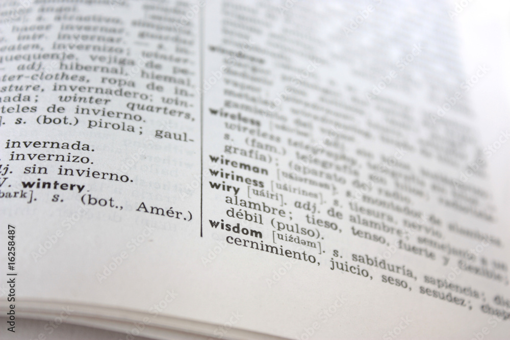 'wisdom' word in English-Spanish dictionary 'wisdom' word in English-Spanish dictionary