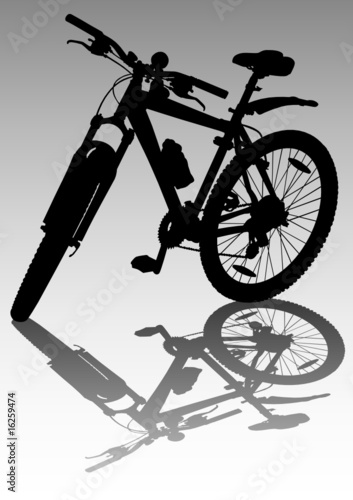 Bicycle in the parking