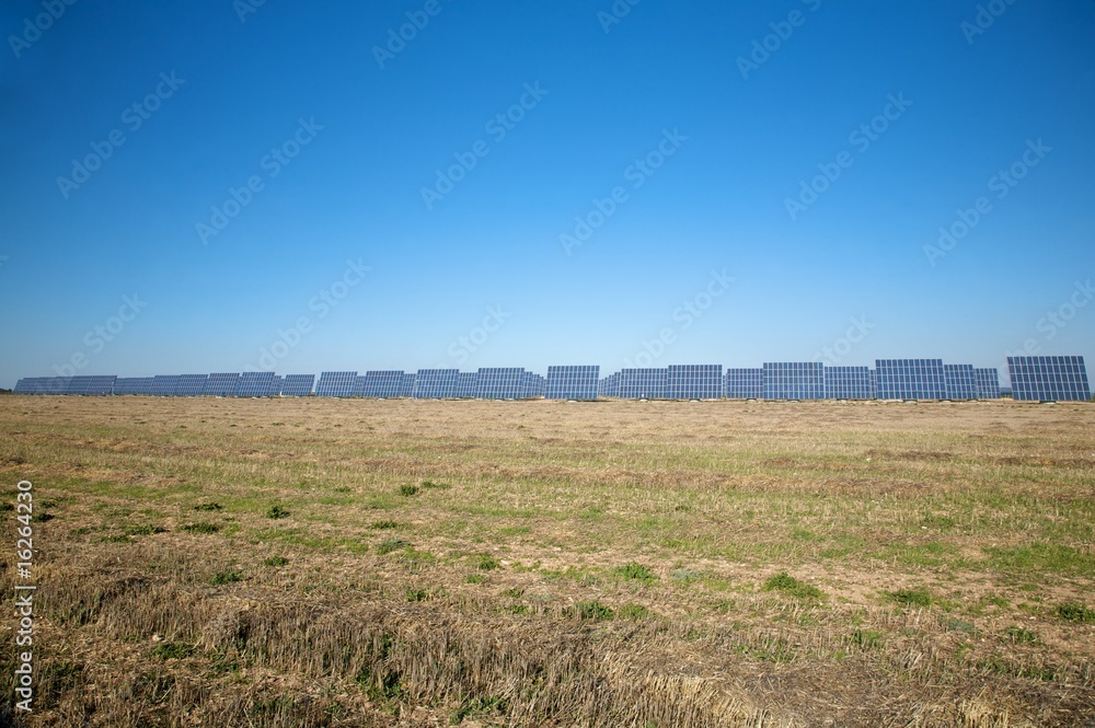 field full of solar panels