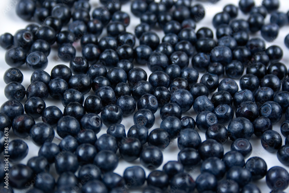 bilberry bilberry