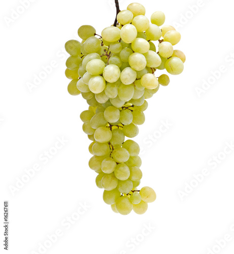 Grapevine isolated on white background