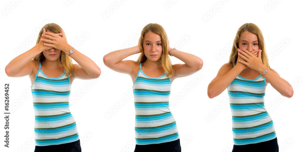 three monkeys three monkeys