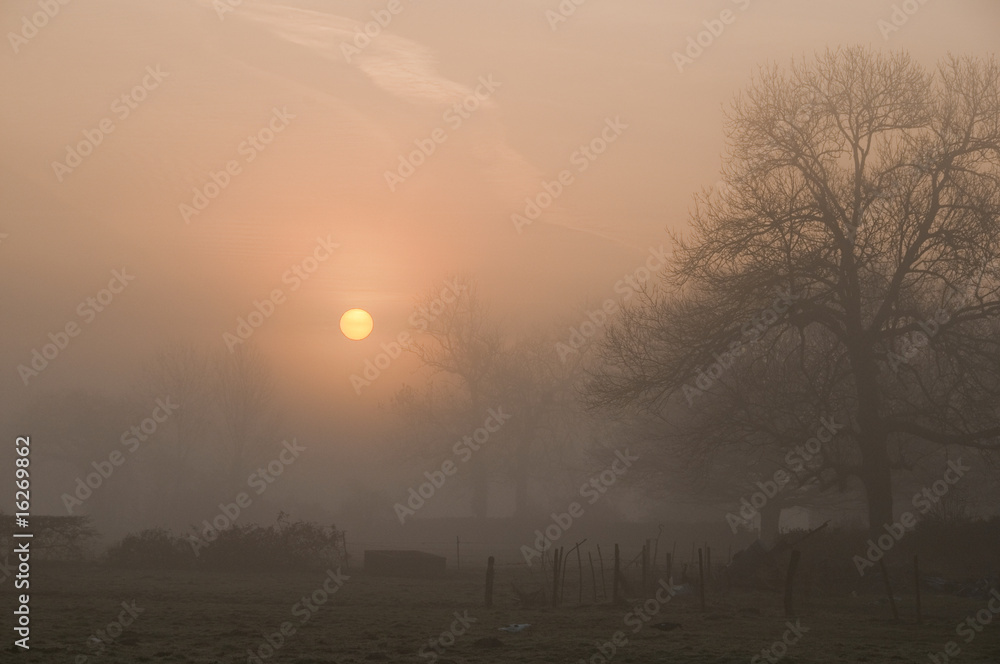 La brume matinale estompe les contours de ce paysage champêtre La brume matinale estompe les contours de ce paysage champêtre