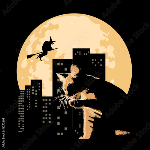 halloween theme with cat and witch against full moon