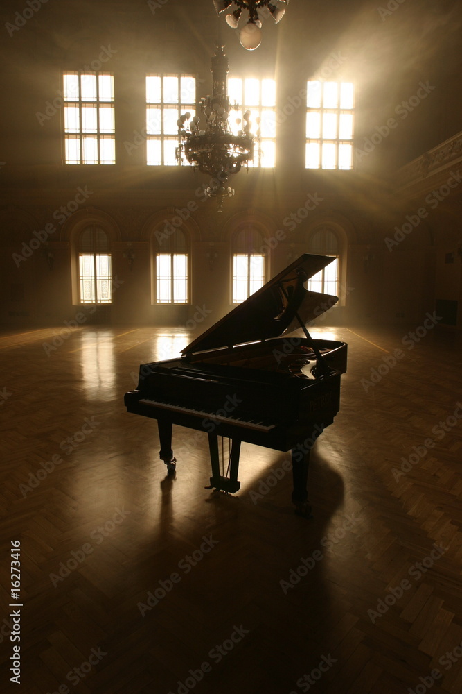 Obraz premium Grand Piano in Light