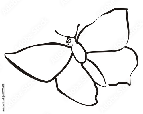 Schmetterling001a