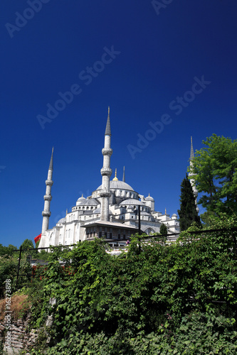 Obraz na płótnie Mosquée bleue w salonie