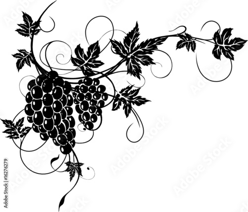 Wein, Weinrebe, Ranke, Weinblätter, Weintrauben