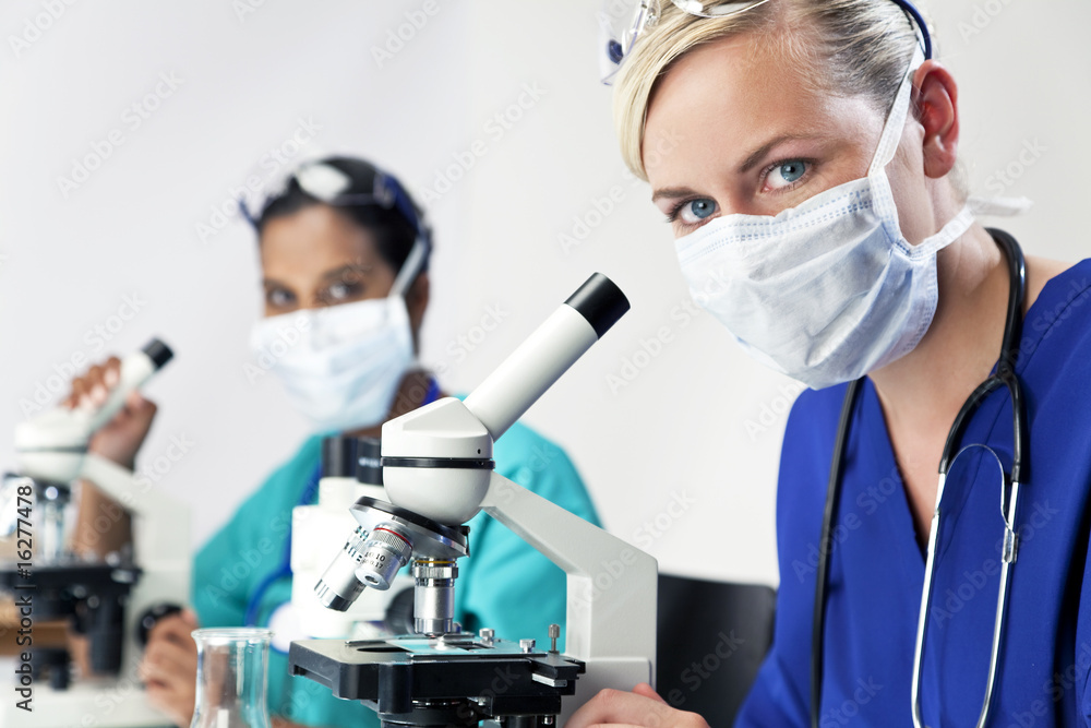 Female Scientific Research Team Using Microscopes in a Laborator Female Scientific Research Team Using Microscopes in a Laborator